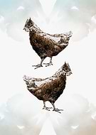 2020-05-28/8543dfb27f0549a32ec0826e69468545_15fcf28943d26170bcfab3ef002850fe