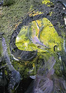 2020-05-30/5e88694949b795c75f4f9be11d307fa4_b6f736f62b8204118a47b73d330aebc6