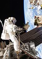 collection-preview-1