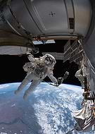 collection-preview-1