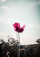 2020-06-01/e058651e6838e396ae01f6a427c7a2b7_a203192482bb44fffd391599c6129c19