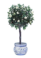 2020-06-02/30c55955ba7811e43dd521611f386d1b_635e406991d665260312bd7f5c487d7d