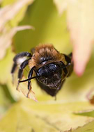 2020-06-03/c2ce8ab8b69bfb7ac9e6102759f3101f_8c70c73b1f55fac21bc94714d3a101dd