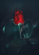 2020-06-03/c4ddb11ec1d532920f4ff09a3c48e2e2_90795d7d8f3f09f506d9f48aafc96860