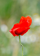 2020-06-04/ef84ea6f6630366fc0aba7624b1ea8c4_da09e0861f5c12e841f81a96962c1c4e