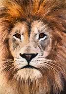 2020-06-05/28339fc4129e3b2d8709b120e37447ae_1f8d7b14287c600d4cb157fd94f8093b