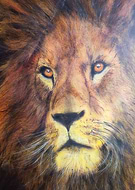 2020-06-05/aa42b862dd1934ad397a86ea5e6141cb_71a65b92c3a06b43717cc2f829fc6d20