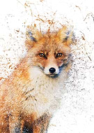 2020-06-06/d119e6ad50a01051930fd6de55a872ea_b11e06759b660a23736b74cd93d9d6da