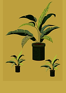 2020-06-08/70c7f98888815e3c71e6c8638a901e14_29a51a6dfeb51dab701be2abd1263742