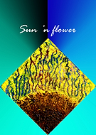 2020-06-08/713f692f9658b442c4a15728302f5657_f535efc85661848ecd2cbc44d9105403