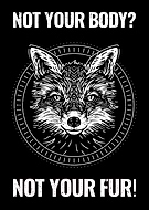 2020-06-08/c4e9e3f8b548f2fd2a00b853dc732de4_a2975cdb26648a7bee397787f0c500ed