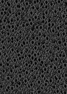 2020-06-09/89597db67b683dd9ff3b9a47c597849e_c6260ba98f4c3ea0ed429b91593fc6e5