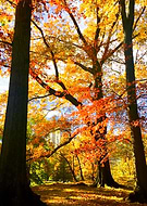 2020-06-10/ea0c5167f9650a4cf263bd904ccaefea_babed195a2c6b51a4aedbf8f6a563434