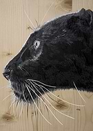 2020-06-12/34849a1940a0e02010d9fbd1fa7bea78_fe072810ab6a0413e084f3c4e752efbe