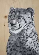 2020-06-12/46ac05a67e430e5d7ce59297a61826ac_57924713989f4268c207453e71a26689