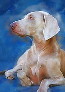 2020-06-12/4789fcb5a56ca8755a674653ae757508_6d23ea0bf174a65edf85da389a78af6d