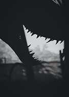 2020-06-15/0bd1daa6a2ff06166dfd84b16a16ca0a_e0154e267c87683a51a688479b1cfb1e