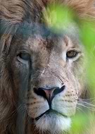 2020-06-15/6ea258725fe240eedaea09f87257aa67_35e54198118481788d38569b87505b2c