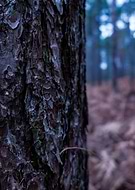 2020-06-16/b3fdce99609d05b9a56b363afdd2db4a_8cbba374e3f08c1351c38dd45cb2d7d1