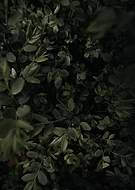 2020-06-17/0fffe118d0ca490984cb4b31d49e27dd_bcfeacf2d4351562dc64be8ffa77f034