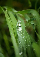 2020-06-19/63a1bf1cde5709de3f0448b8015e0602_f7d430a37d141a9fc1f588a42bc43b7f