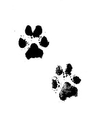 2020-06-19/f4af5d3bc7c9c2559c0184ee51b48c19_332746a8547d25742970c428262f6ec4