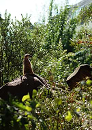 2020-06-21/b4fe3724c81b5d24d50befcdc0a5ba16_ca3de25e7d5eb2585c6af57176c5f585