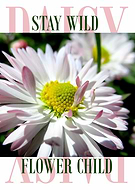 2020-06-22/d97671cc1af455dab340cbee6bf73658_033547d0577422f189a774a7a6af7189