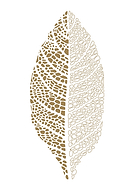 2020-06-23/c9539e6780c1697b53eb927ff02b0ac8_b379d449a638f8b04b2093fb700a38e9