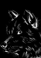 2020-06-23/d5dfa692a174875fc75ed9b3bb79158c_02d1fa32bdb8b96923a5a2fb9ed92ccc