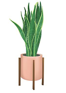 2020-06-25/1edf4259d509374cbb88bf24fe79de64_66cb1a340dc6f7137a096223ebf6a312