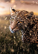 2020-06-27/23c287c8f82e45399b13315a9f29bda8_3c5824bafab57755675ae3bab237c854