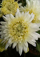 2020-06-27/f6d4959cf11c2597af1a98f0f6e05e8a_9e7e134444e7f194c3a214b624a0cea5