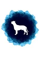 2020-06-28/03427603f3f9b2b9c92e46869a855761_c0f7e6a9f92e6c8efc4abbc3ac76dca6