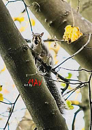 2020-07-01/1790fa9a5ace4c29446dff2e945b65d4_469e113d3b7af2f18668edb86f8a4020