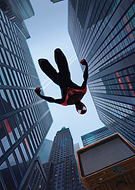 collection-preview-0