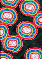 2020-07-03/adba5a9e915e7b324e477544af980f98_72174c88e7836ee736d20c144acb0e3b