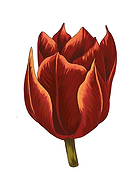 2020-07-05/3b803fb7f686961876e75172de7b6075_bb554d166b97c6bd1b32c918ae340aa9