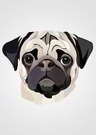 2020-07-06/36b45df353a388ba66bcc7cd588060f2_d78c8c75165497a4e67ac420d6041a71