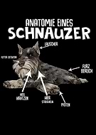 2020-07-11/15ab5ced107ed95bf244c419edb26cbe_675bfef9a58545ebb3056dfba7c35375