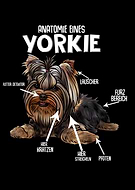 2020-07-11/aa251b3bfbe4cd2f33c2e26b90378e12_39f9526749fae1d50d8195ffdcb7ac6b