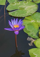 2020-07-13/2da5005f949b366c1424e63bd8448a49_c601e1ff99288466ea53eb8cc1ede357