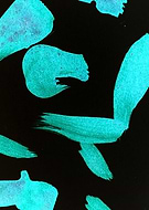 2020-07-13/ced46d7f1ae0bb0482b0fcfb16d7832c_4d04deeb312ffab6d2f68efd13e1b06d