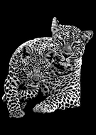 2020-07-14/4bf0792140e43d9f456bfec1596b30e8_c6ceae41182b367c9104fef93ec2622e