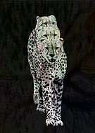 2020-07-14/86beb35831ba8af6a95b63e6bf40ddc4_784e6a0283ada8095e77d09697d384e1