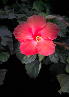 2020-07-15/5b193859d7fd797f1b7a3e4df9b88204_d33428cd694bd88302adc6dc6d835a31