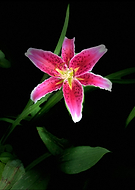 2020-07-15/c6b87b734ea38a13e6773113bb3407f9_3f93233c59c885e49ace862515fc703a