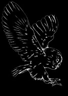 2020-07-15/cbdcd1dd0feabc5d4f81b6129446d38d_ce1aac03aa4c2723ea6bfae67712d31b