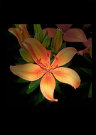 2020-07-15/d52da520afb23dd7294818bef76654e5_515d64be7964973362462a3b6873a1ee