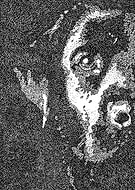 2020-07-19/573d155dc3ea3d77fb33fcf991504bc7_2c572a144f46d847bc6df682006460de